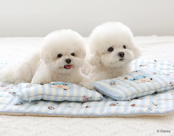 Disney Rayon Cooling Mat