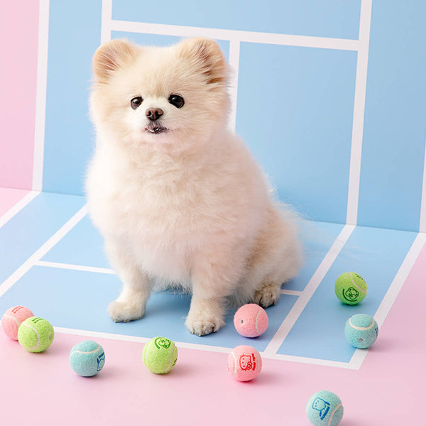 Mini Tennis Balls Toy