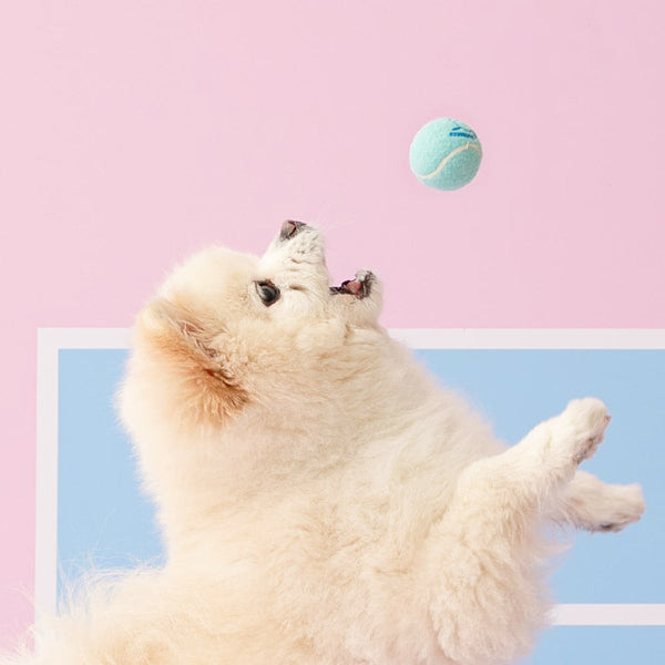 Mini Tennis Balls Toy