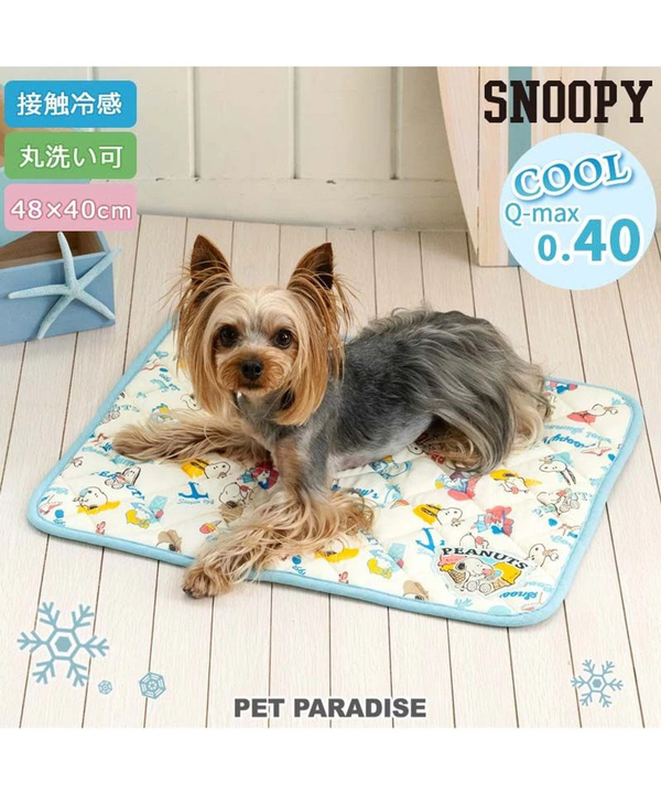 Snoopy Ice Pattern Cool Mat