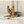 Snoopy Ice Pattern Cool Mat