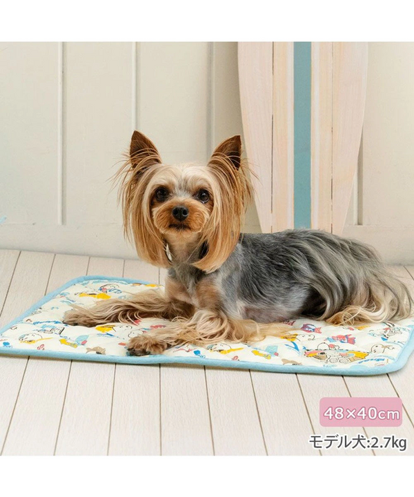 Snoopy Ice Pattern Cool Mat