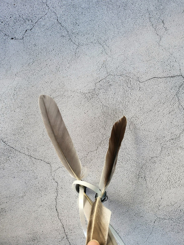 New Whistle Feather Cat Teaser Wand Refill Toy