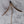 Pheasant Tail Feather Cat Teaser Wand Refill Toy