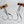 Coffee Butterfly Feather Cat Teaser Wand Refill Toy