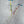 Curly Transparent Angel Cat Teaser Wand Refill Toy