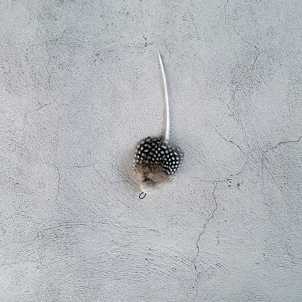 Speckled Mini Butterfly Cat Teaser Wand Refill Toy