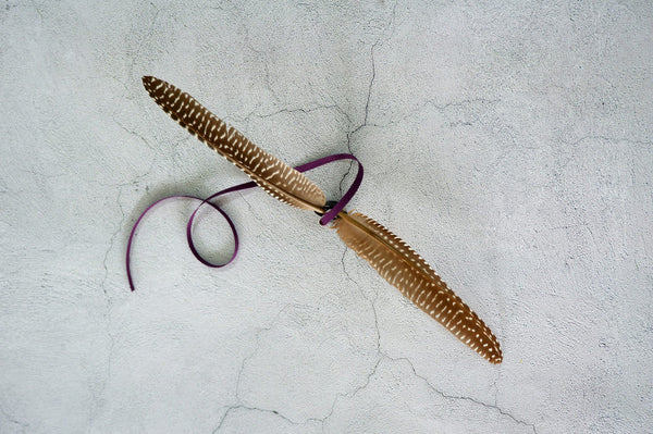 Guinea Fowl Tail Feather Cat Teaser Wand Refill Toy