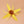 Spinning Sunflower Cat Fishing Rod Refill Toy