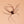 Tarantula Cat Teaser Stick Refill Toy
