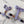 Lavender Harness