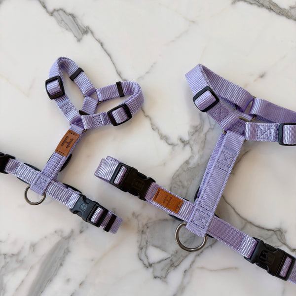 Lavender Harness
