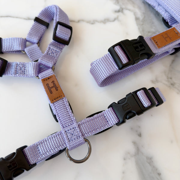 Lavender Harness