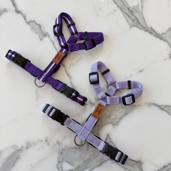 Lavender Harness