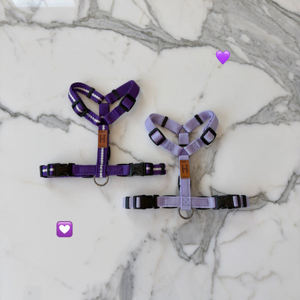 Lavender Harness