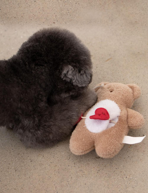 Sniff Bear Nose Work Toy