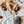 [PRE ORDER] Field Mouse Cat Toy
