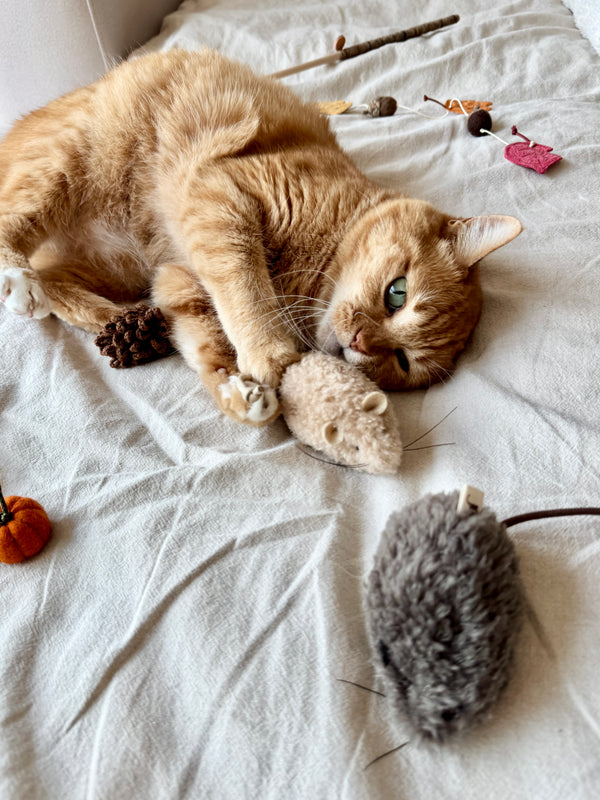 [PRE ORDER] Field Mouse Cat Toy