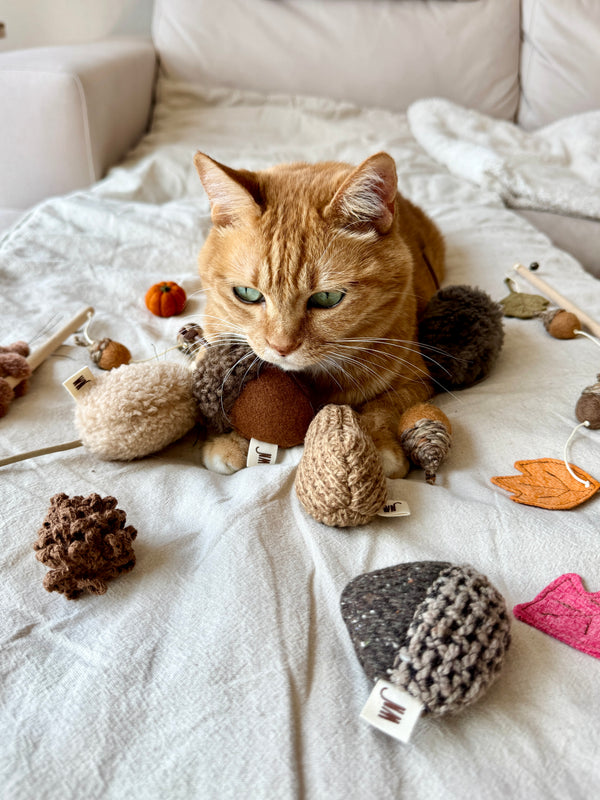 [PRE ORDER] Nut 3 Set Cat Toy