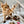 [PRE ORDER] Wheat Rod Cat Toy