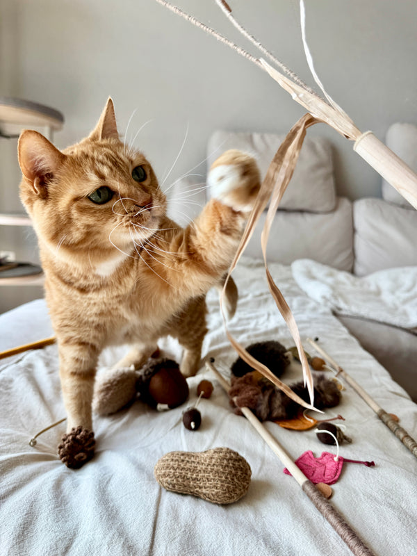 [PRE ORDER] Wheat Rod Cat Toy