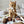 [PRE ORDER] Wheat Rod Cat Toy