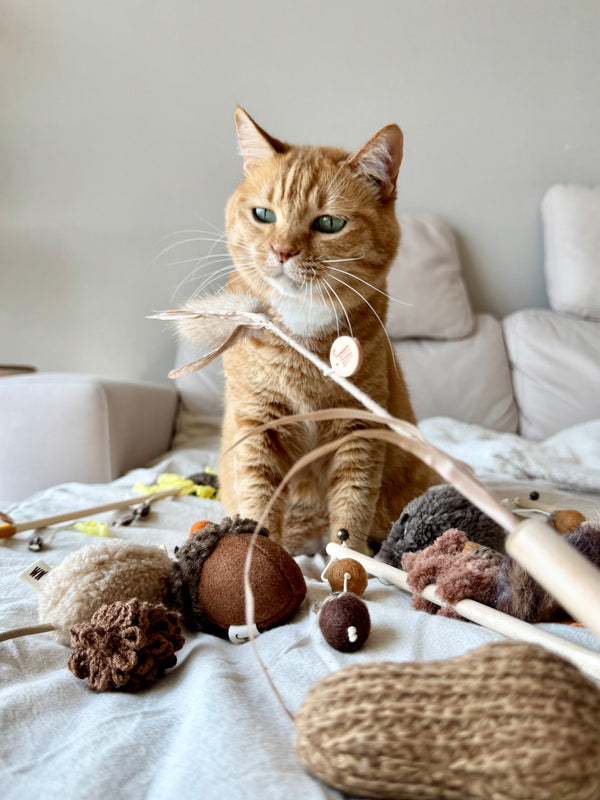 [PRE ORDER] Wheat Rod Cat Toy