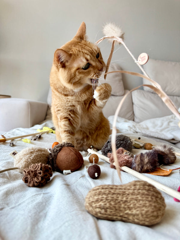 [PRE ORDER] Wheat Rod Cat Toy