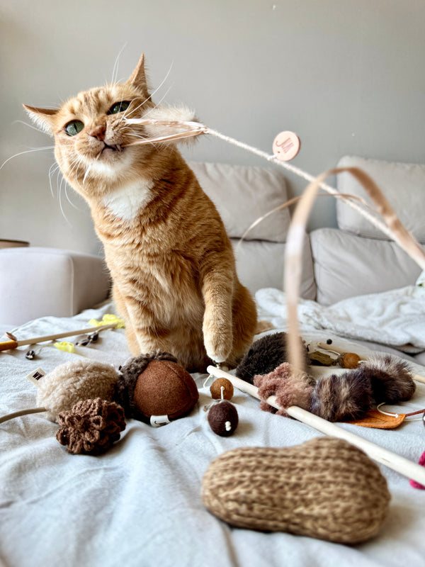 [PRE ORDER] Wheat Rod Cat Toy