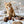 [PRE ORDER] Wheat Rod Cat Toy