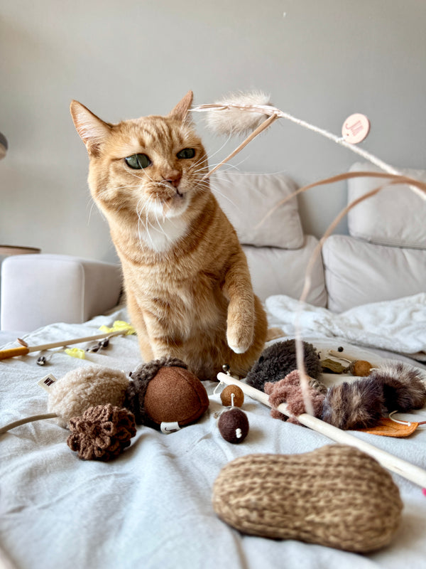 [PRE ORDER] Wheat Rod Cat Toy