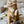 [PRE ORDER] Wheat Rod Cat Toy