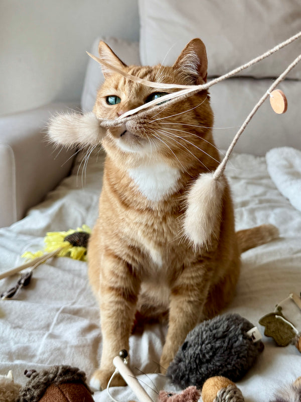 [PRE ORDER] Wheat Rod Cat Toy