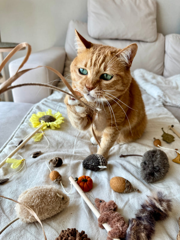 [PRE ORDER] Wheat Rod Cat Toy