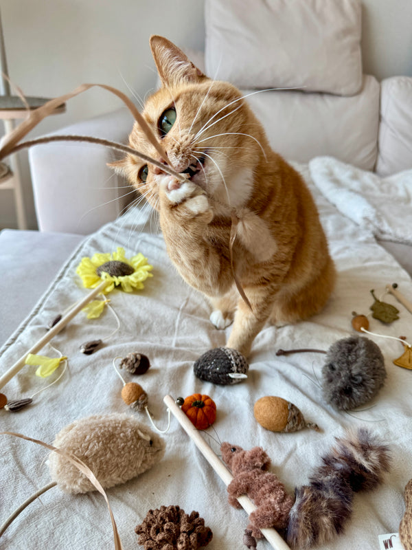 [PRE ORDER] Wheat Rod Cat Toy