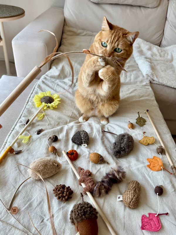 [PRE ORDER] Wheat Rod Cat Toy