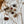 [PRE ORDER] Pine Cone 3 Set Cat Toy