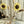 Sunflower Rod