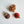 [PRE ORDER] Pine Cone 3 Set Cat Toy