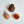 [PRE ORDER] Pine Cone 3 Set Cat Toy