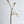 [PRE ORDER] Wheat Rod Cat Toy