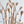 [PRE ORDER] Wheat Rod Cat Toy