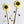Sunflower Rod
