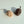 [PRE ORDER] Field Mouse Cat Toy