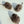 [PRE ORDER] Field Mouse Cat Toy