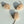 [PRE ORDER] Field Mouse Cat Toy