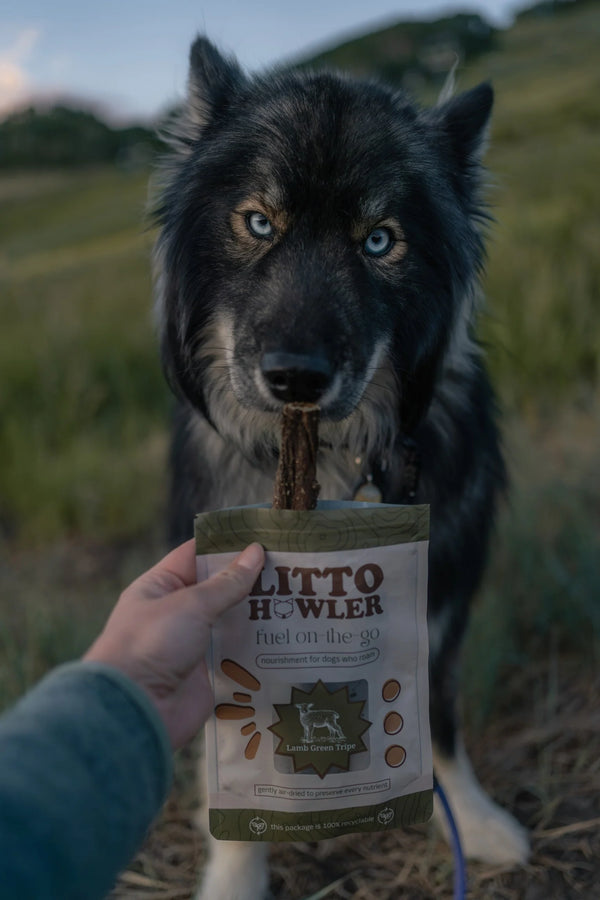 Lamb Green Tripe Sticks