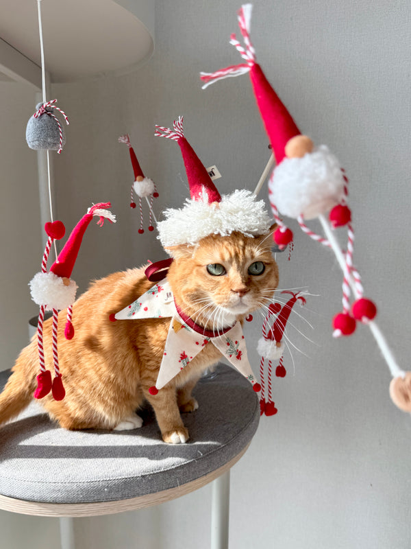 [PRE ORDER] Tiny Gnome