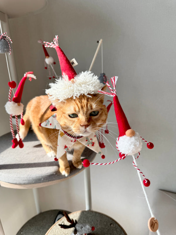 [PRE ORDER] Tiny Gnome