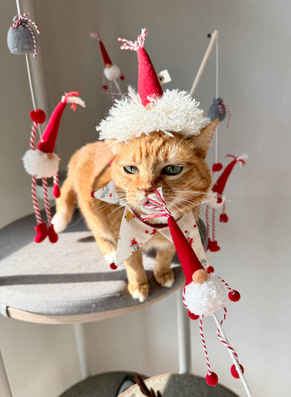 [PRE ORDER] Tiny Gnome